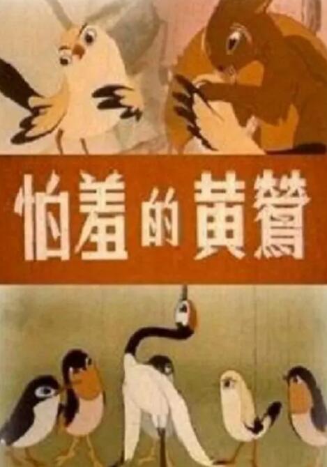高清影视