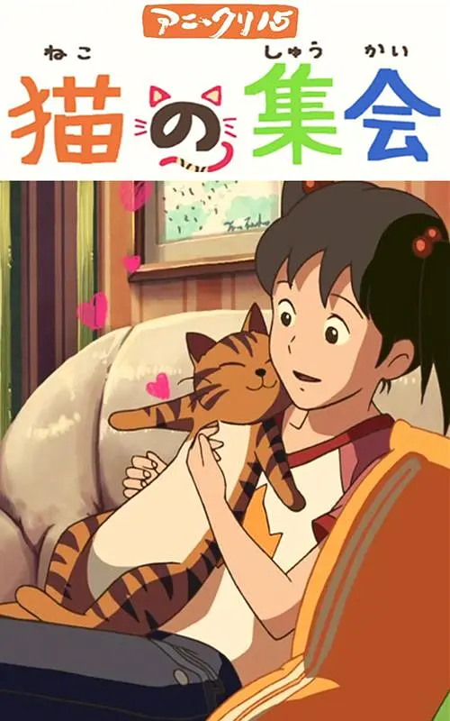 字幕全集免费观看