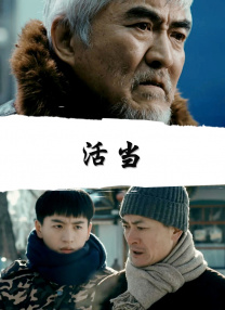DVD高清完整版